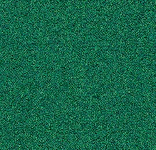 3620 evergreen