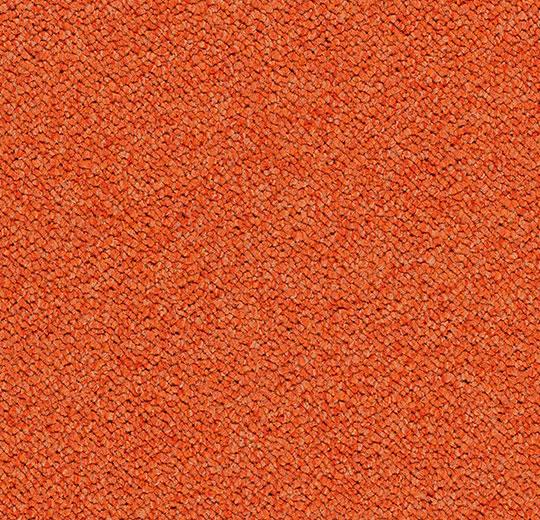 3625 calypso