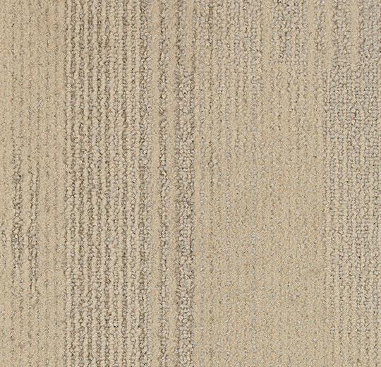 1903 white spruce