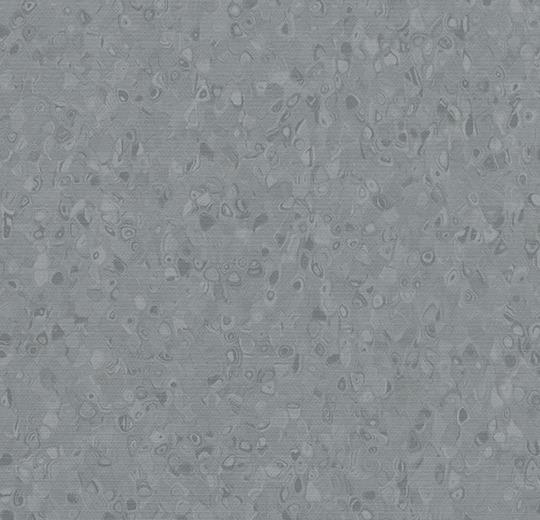 50005 dark neutral grey