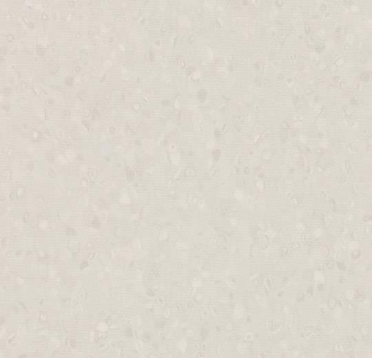 50017 ivory