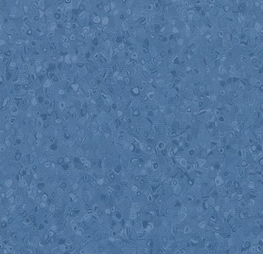 50038 blueberry