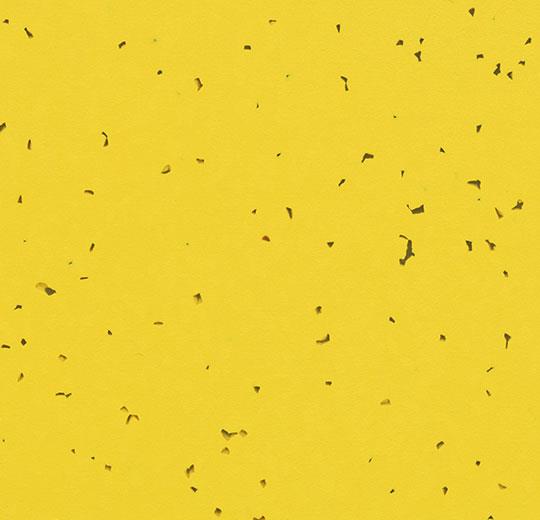 50201 yellow