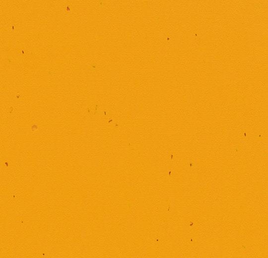 50210 mandarin
