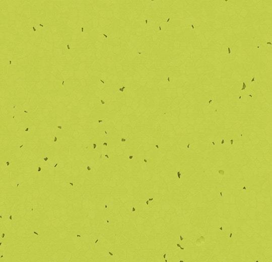 50214 lime
