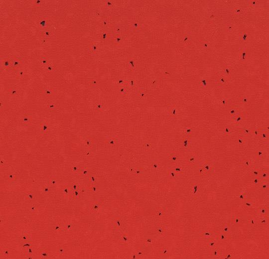 50241 madder red