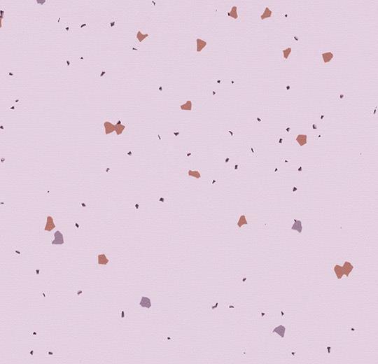 51234 vivid lilac