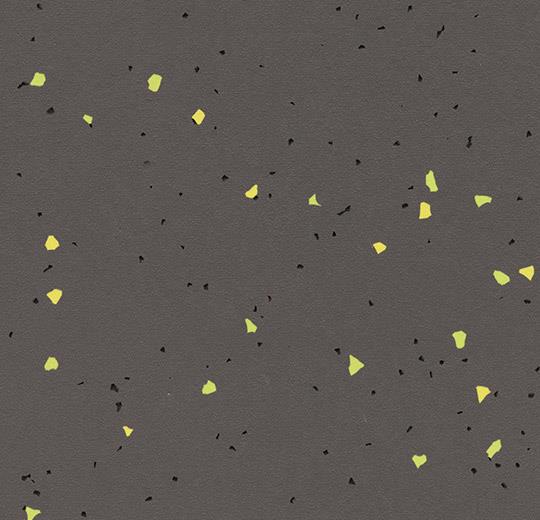 51244 vivid ebony