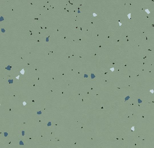 51245 vivid thyme