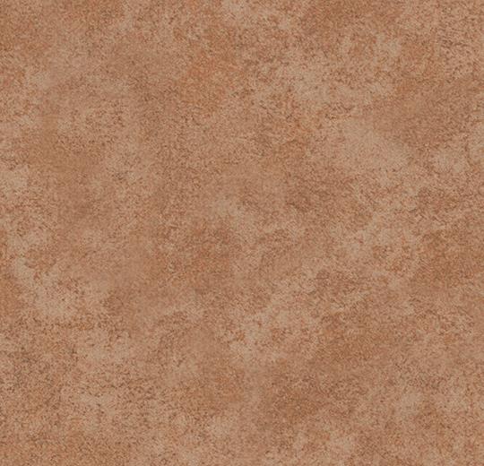 t290013 Calgary caramel