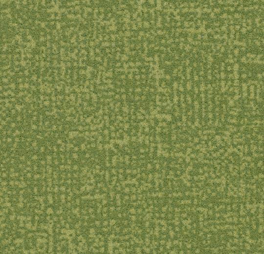 t246019 Metro citrus