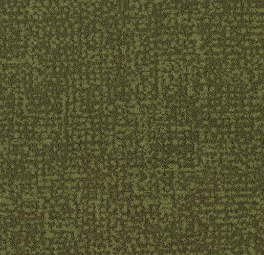 t246021 Metro moss