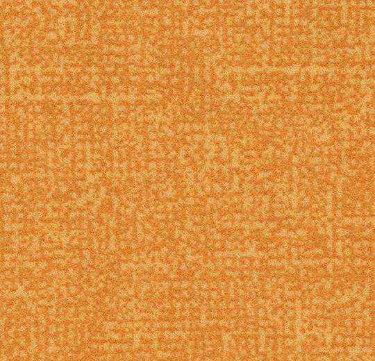 t246036 Metro gold
