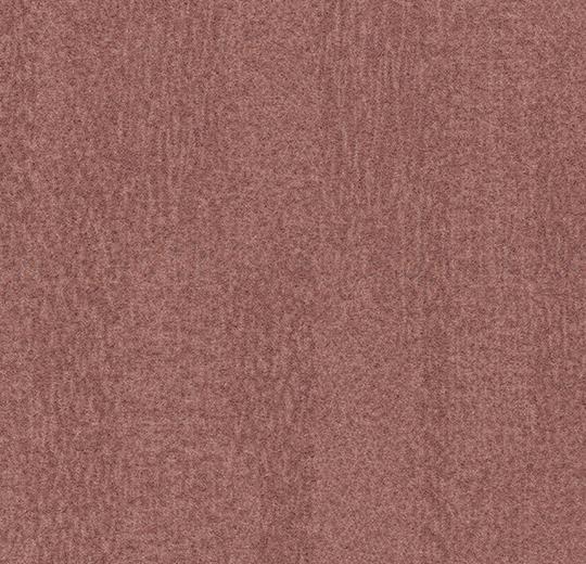 t482016 Penang coral
