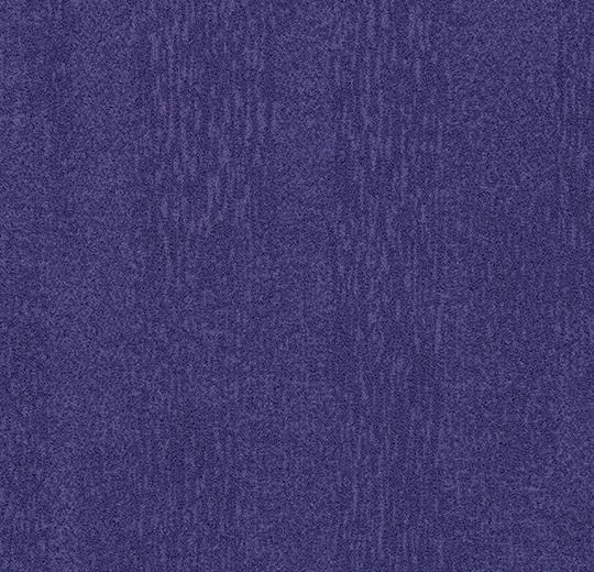 t482024 Penang purple
