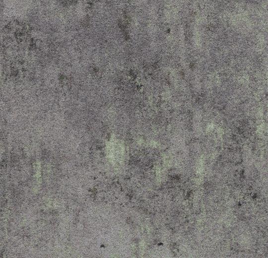 139014 lichen