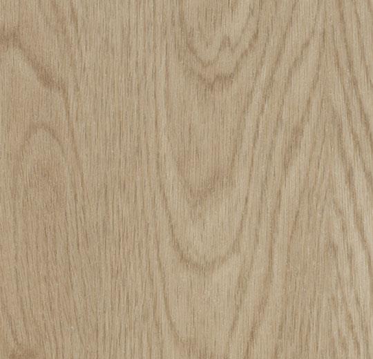60064DR7 whitewash elegant oak