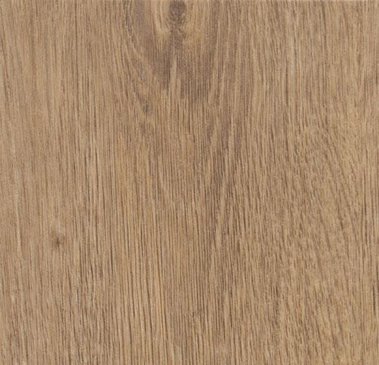 60078DR7 light rustic oak