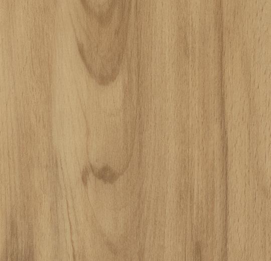60026CL5 classic beech