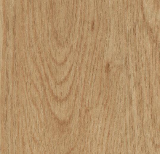 60065CL5 honey elegant oak