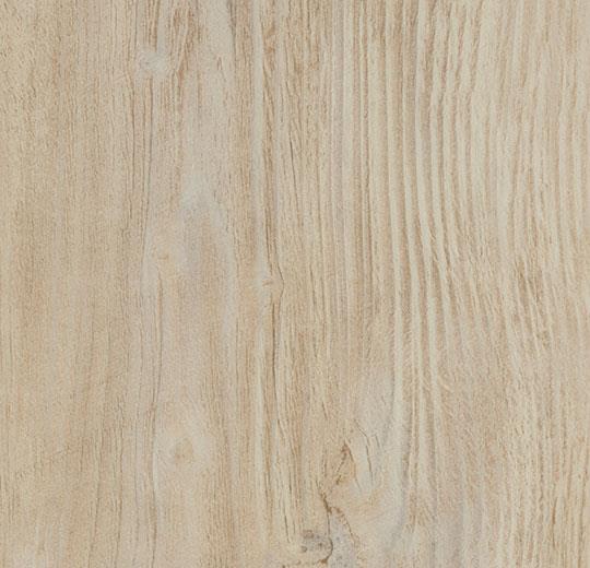 60084CL5 bleached rustic pine