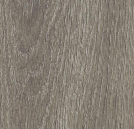 60280CL5 grey giant oak