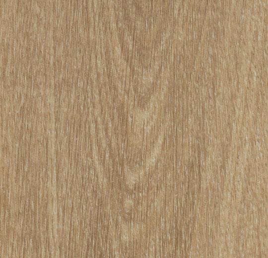60284CL6 natural giant oak