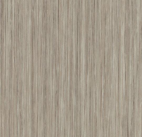 61253CL5 oyster seagrass