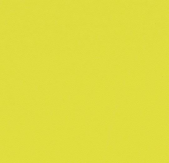 63484DR7 mustard