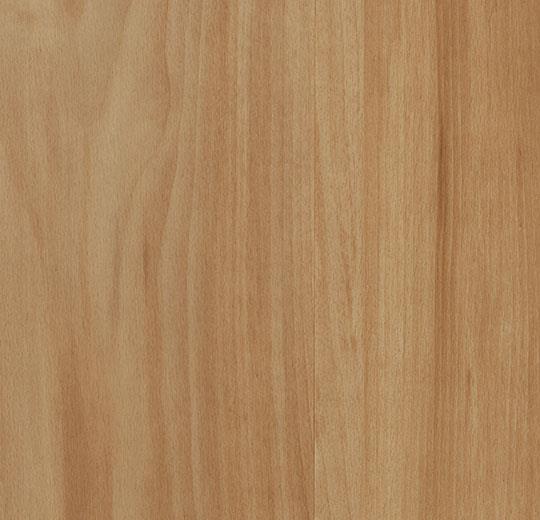 60026FL1 classic beech