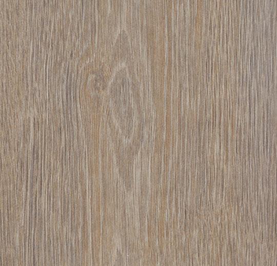 60293FL1 steamed oak