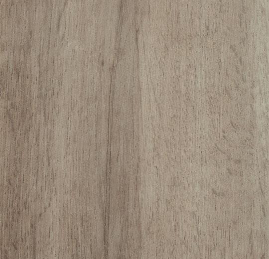 60356FL1 grey autumn oak