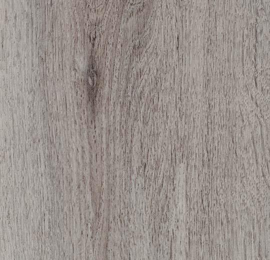 8WAU01 winter harvest oak