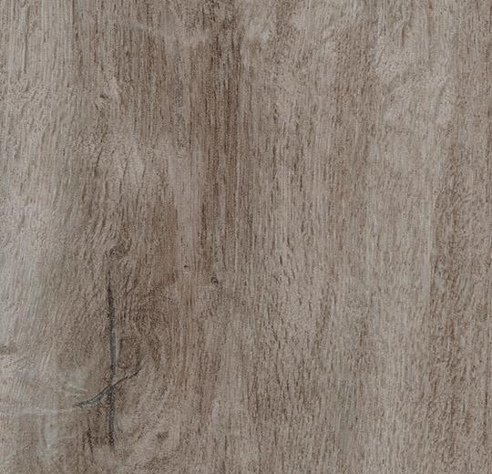 8WAU02 dusky harvest oak