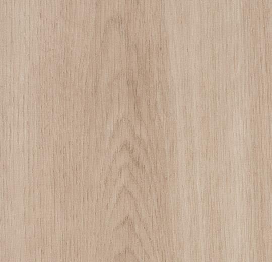 8WSM03 dune smooth oak