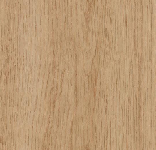 8WSM13 golden smooth oak