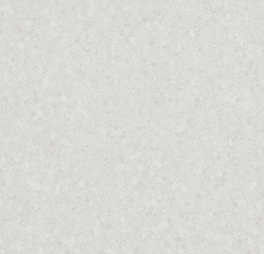 SD 550017 ivory