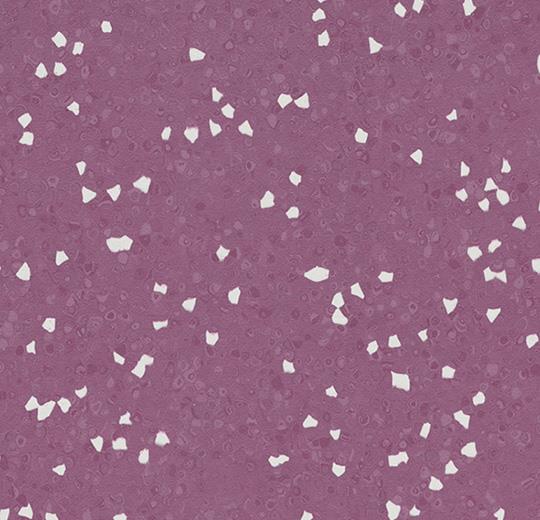 SD 550034 amethyst