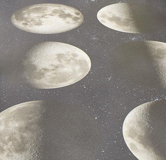 17982 moon