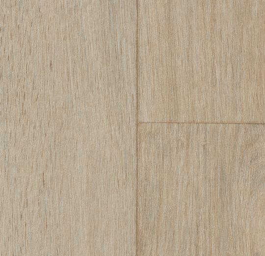 18802 elegant oak
