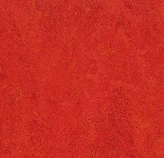 t3131 scarlet
