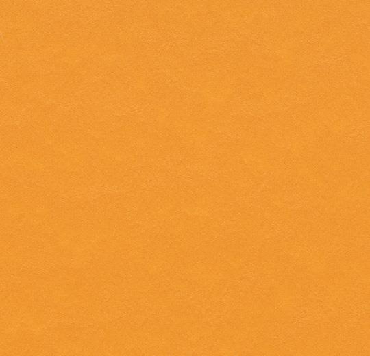 t3354 pumpkin yellow