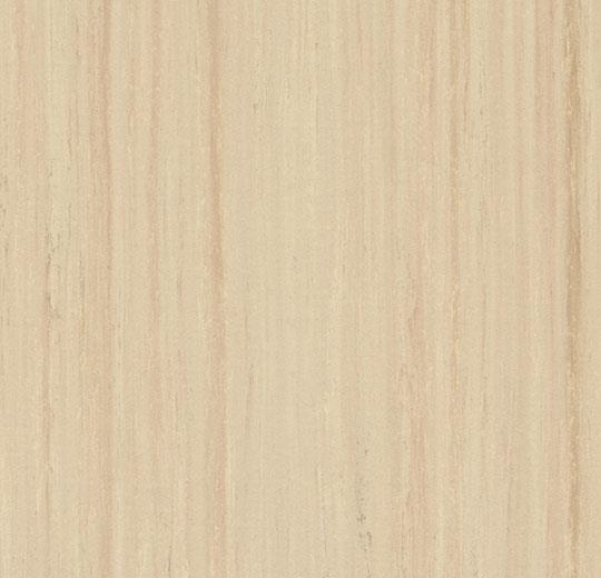 t5230 white wash