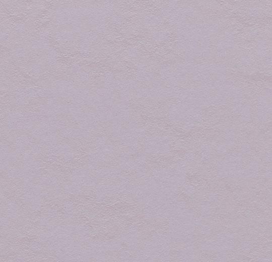 333363 lilac