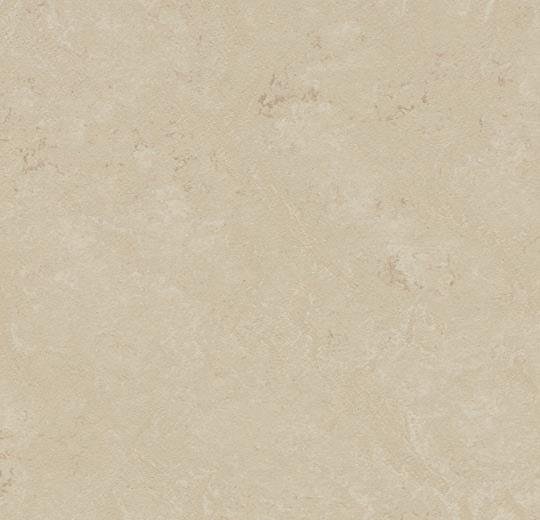 333711 cloudy sand