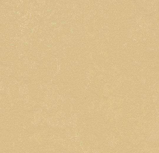 3726 Venus