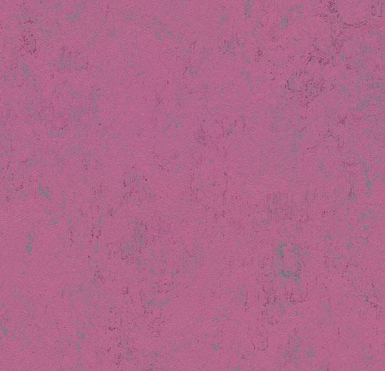 3740 purple glow