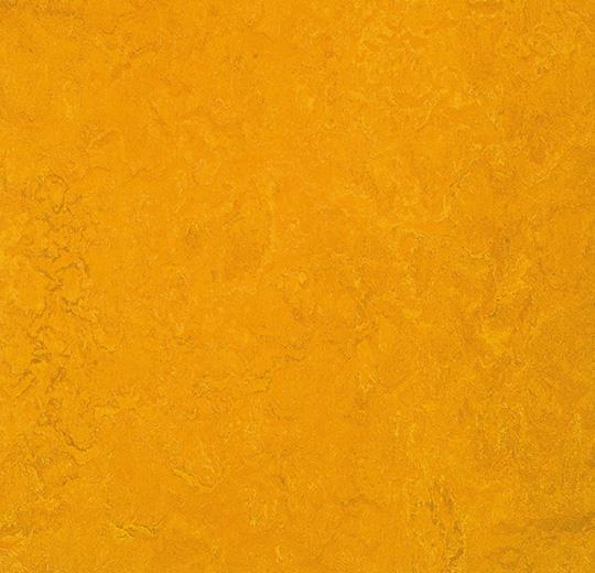 3125 golden sunset