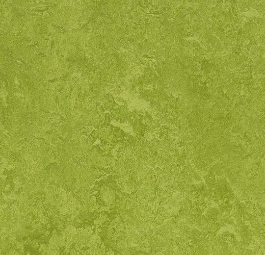 3247 green