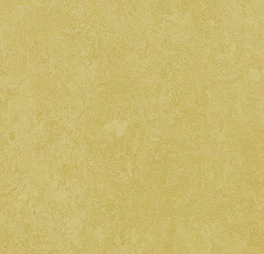 3259 mustard